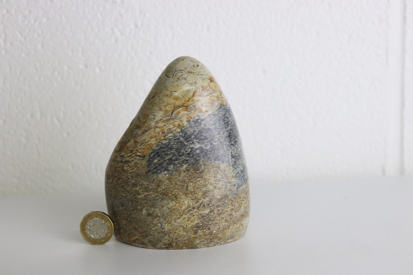 5) Large Coquillage Shell Jasper Crystal Ornament