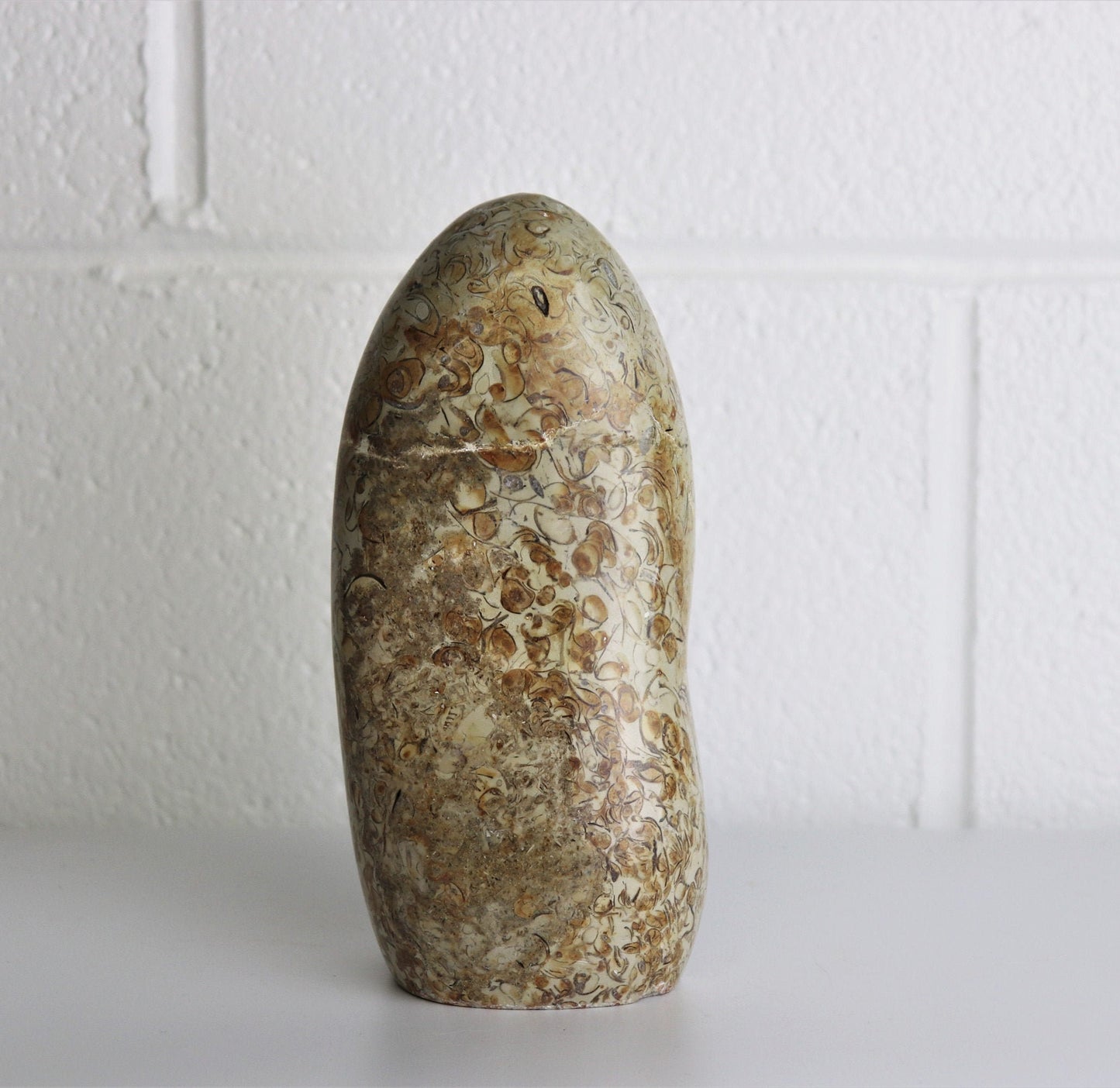 2) Coquillage Shell Jasper Crystal Ornament