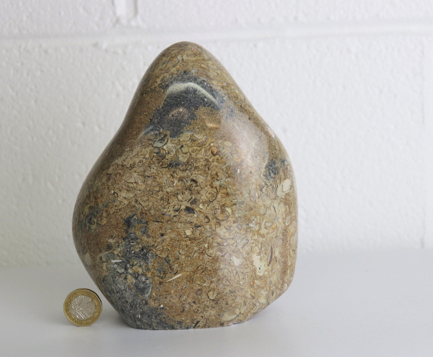 3) Large Coquillage Shell Jasper Crystal Ornament  2.41KG