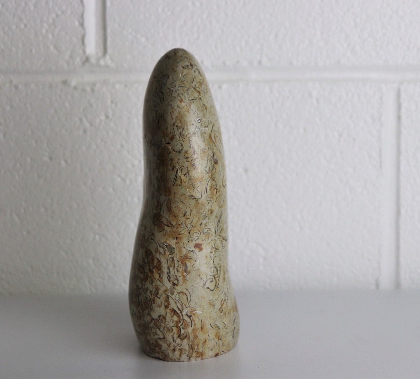 2) Coquillage Shell Jasper Crystal Ornament