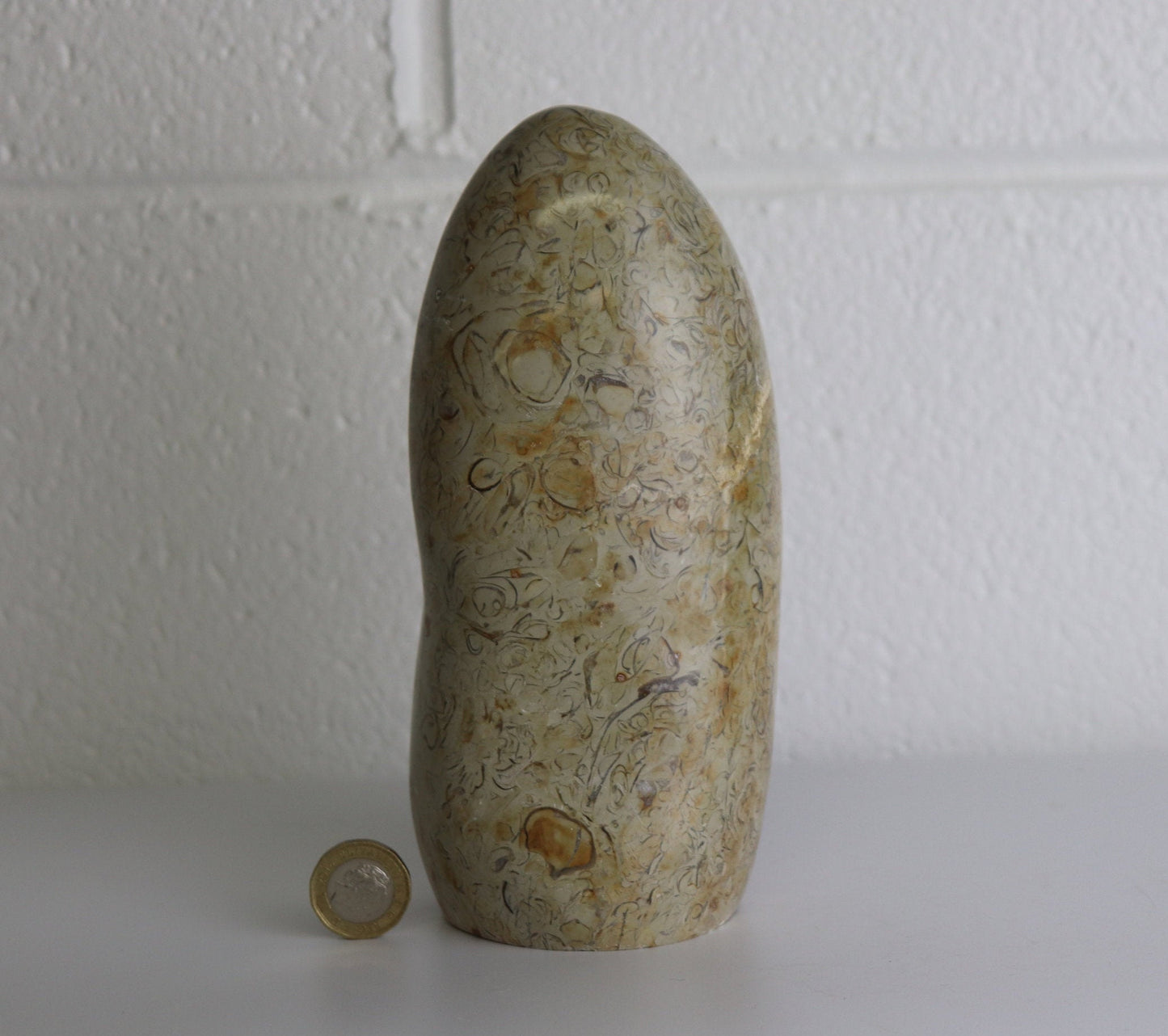 2) Coquillage Shell Jasper Crystal Ornament