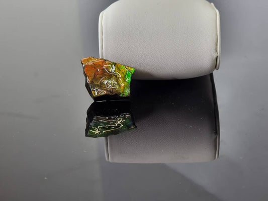 Large Ammolite Crystal Gemstone rare unique