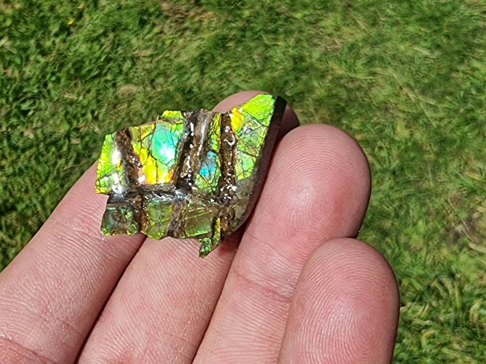 Large Ammolite Crystal Gemstone rare unique