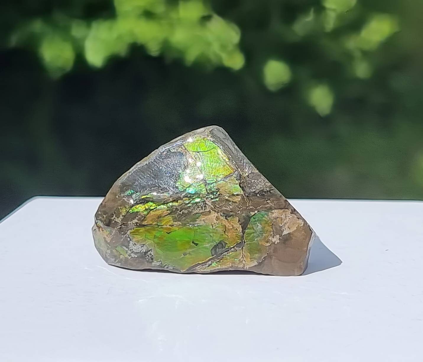 84) Ammolite Crystal Gemstone