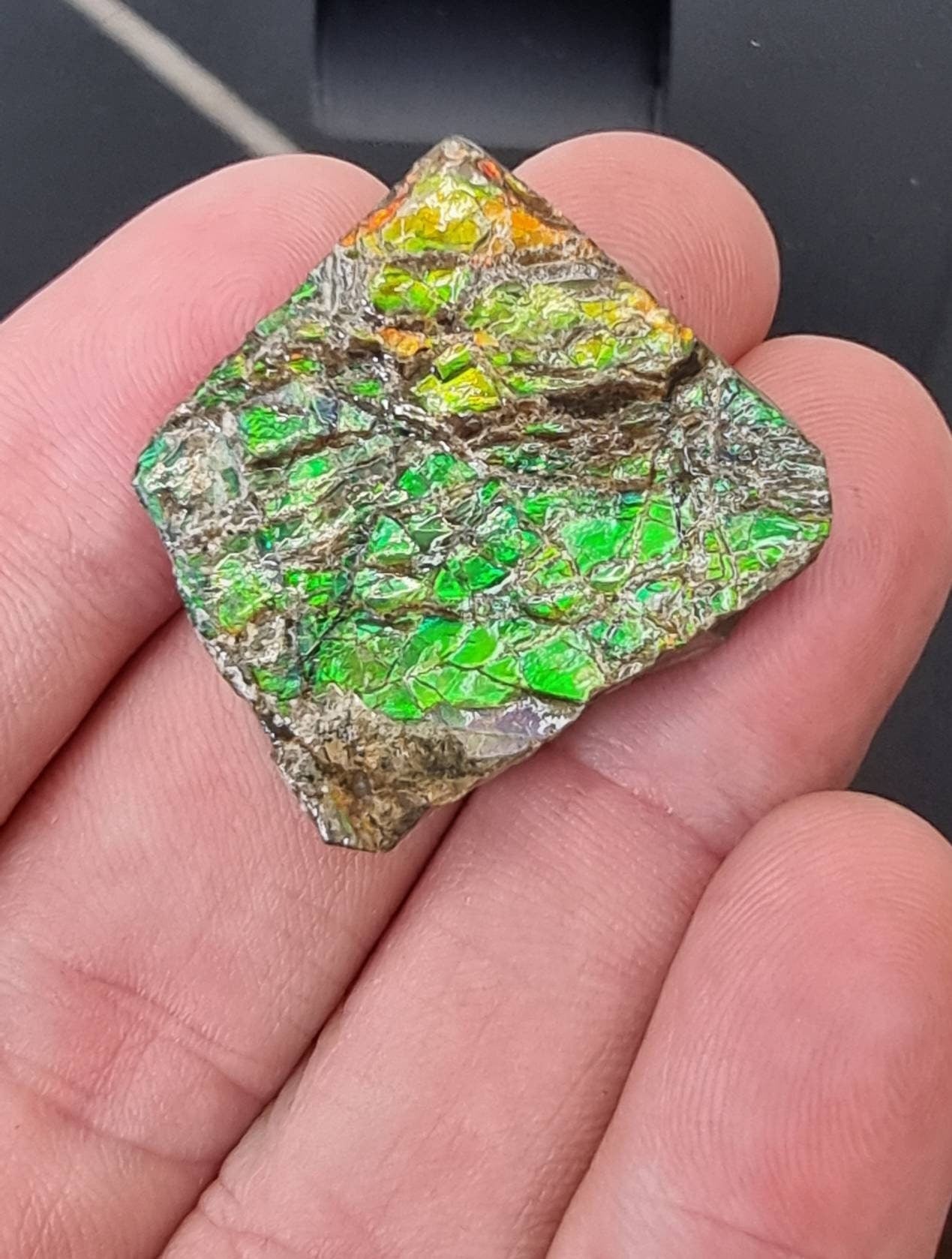 Large Ammolite Crystal Gemstone rare unique