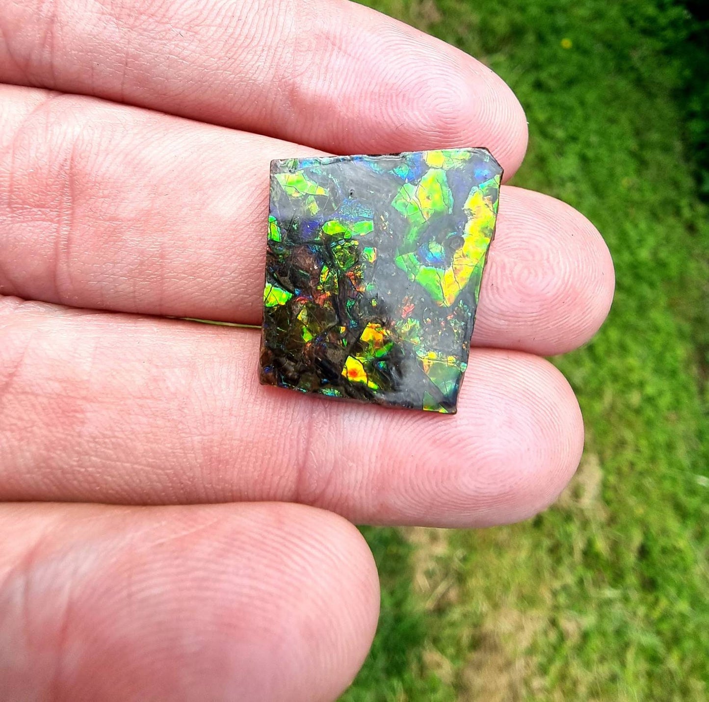 81) Ammolite Crystal Gemstone