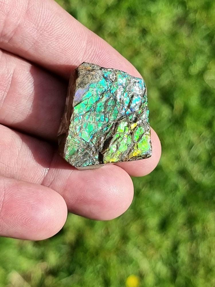 82) Ammolite Crystal Gemstone