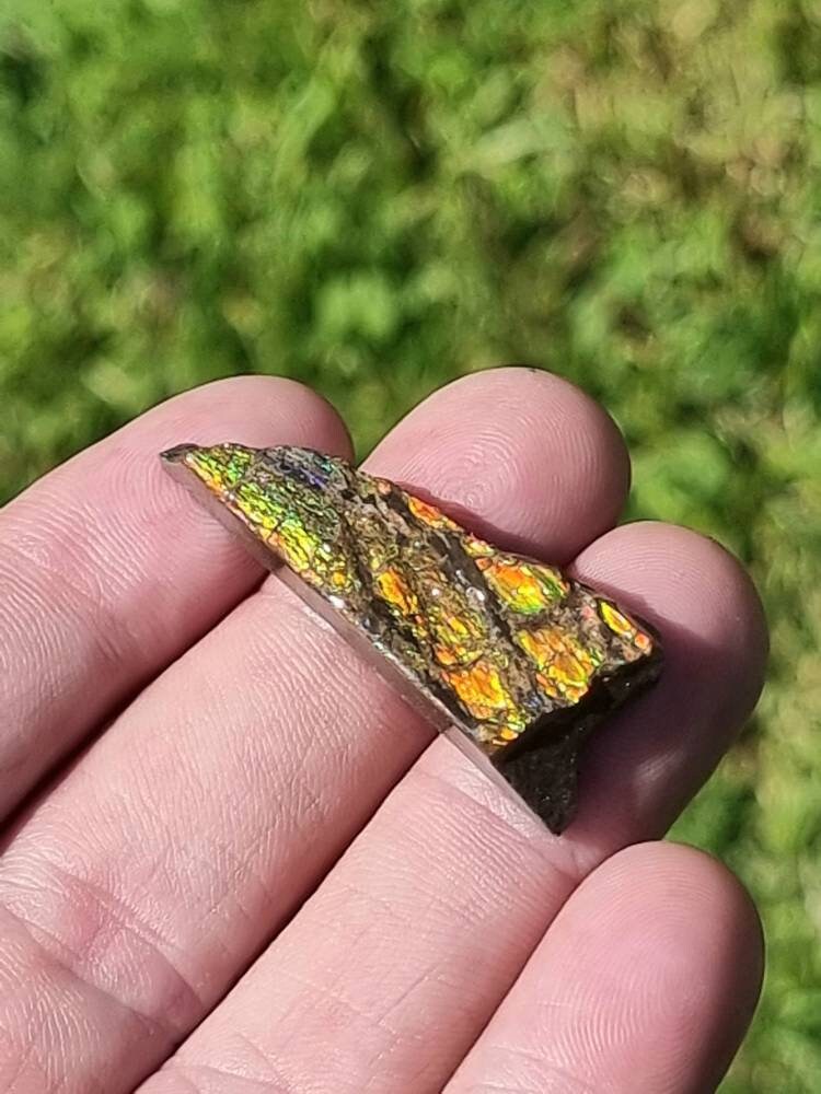 80) Ammolite Crystal Gemstone