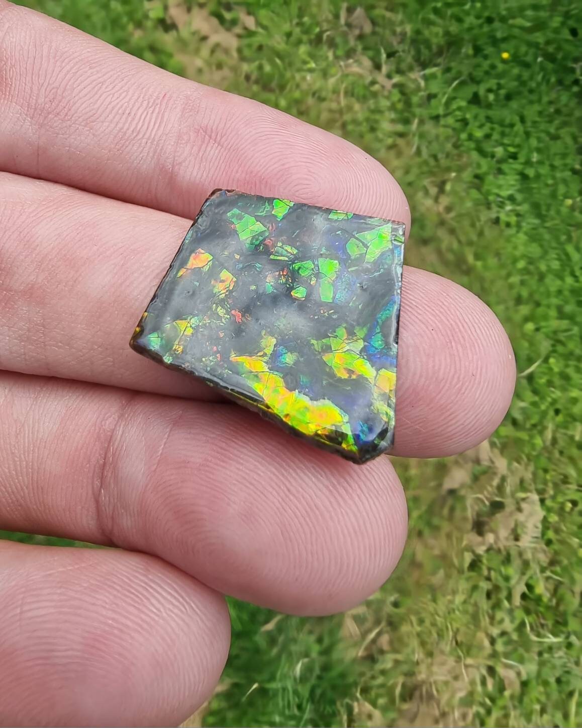 81) Ammolite Crystal Gemstone