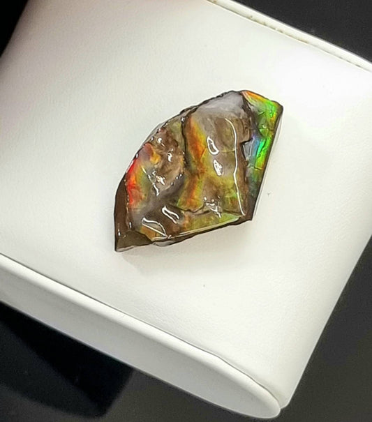 Large Ammolite Crystal Gemstone rare unique