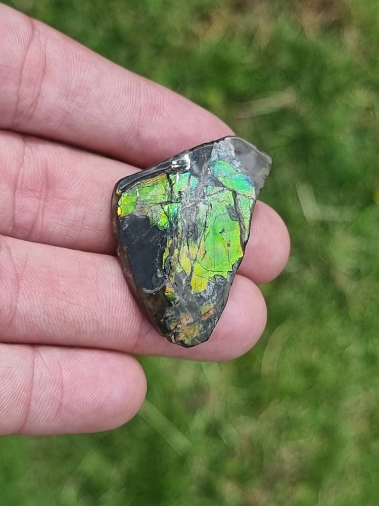 84) Ammolite Crystal Gemstone