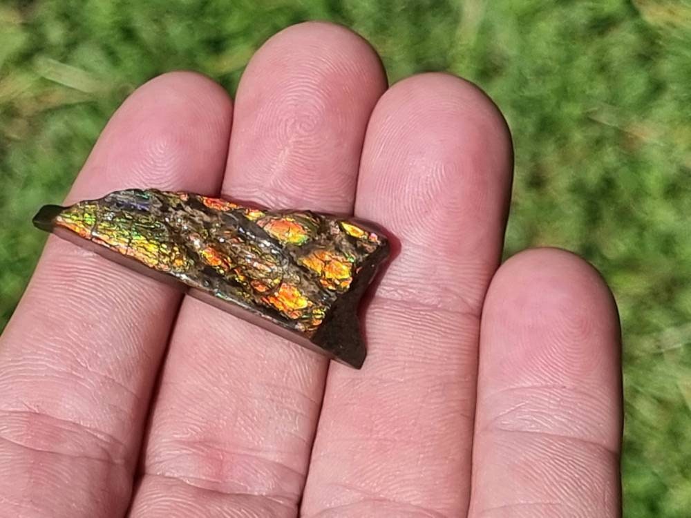 80) Ammolite Crystal Gemstone