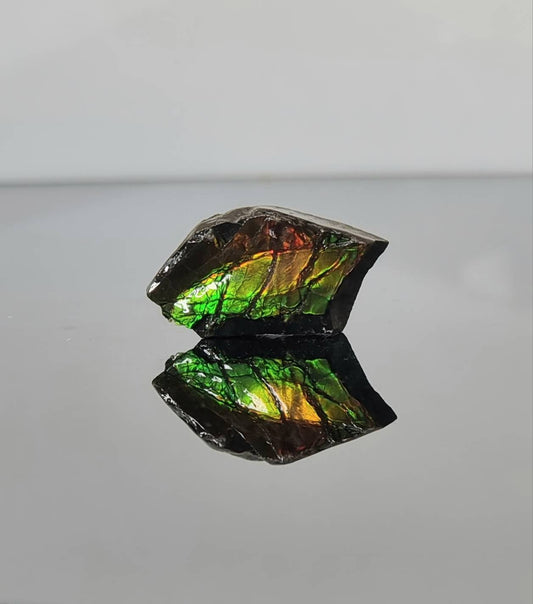 Large Ammolite Crystal Gemstone rare unique