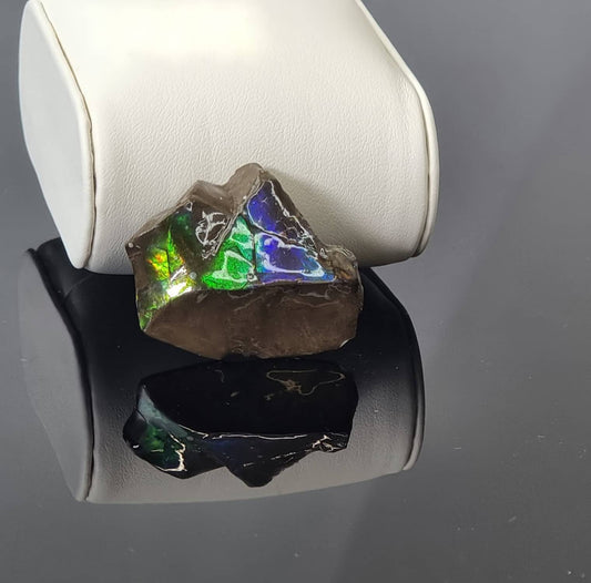 Large Ammolite Crystal Gemstone rare unique