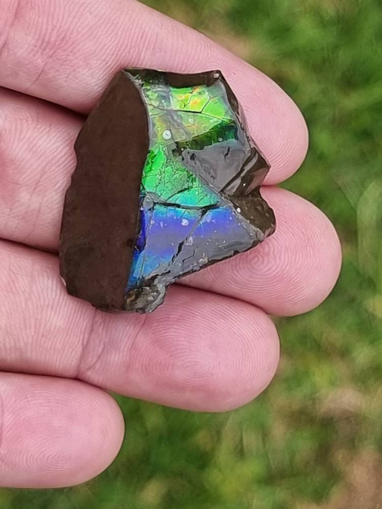 75) Ammolite Crystal Gemstone