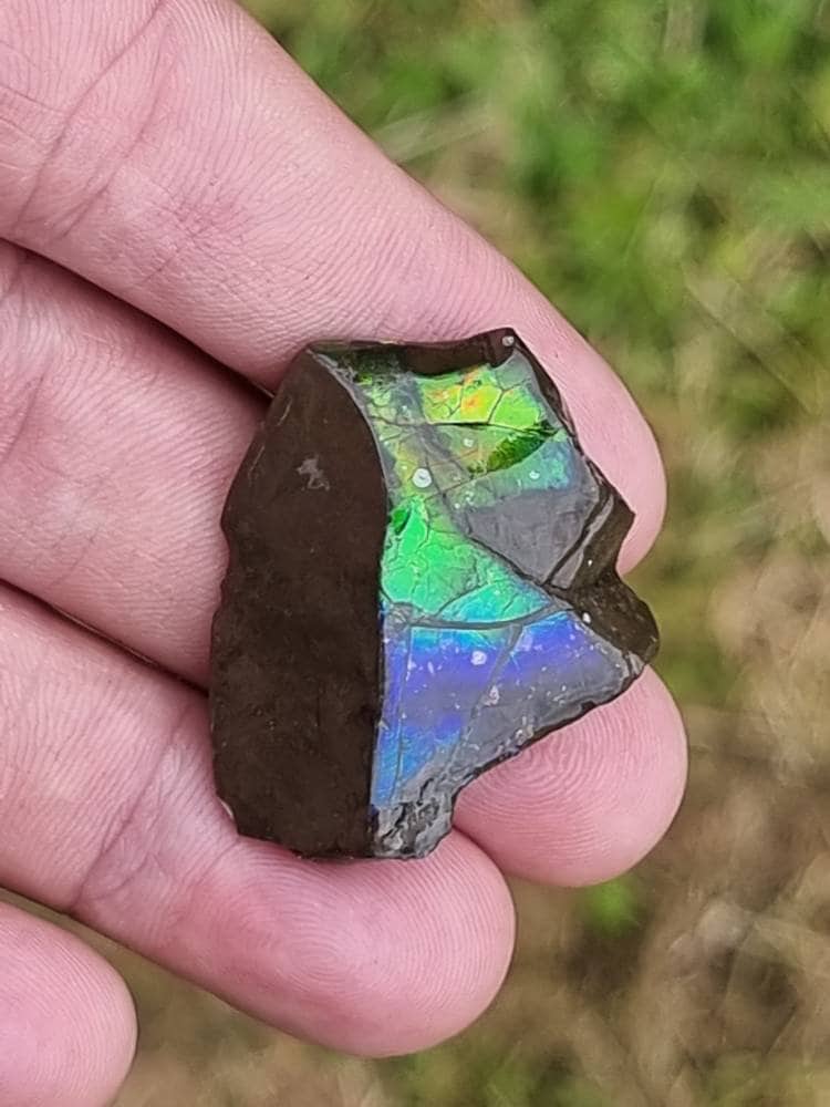 75) Ammolite Crystal Gemstone