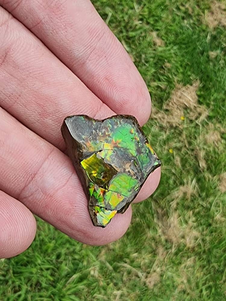 72) Ammolite Crystal Gemstone