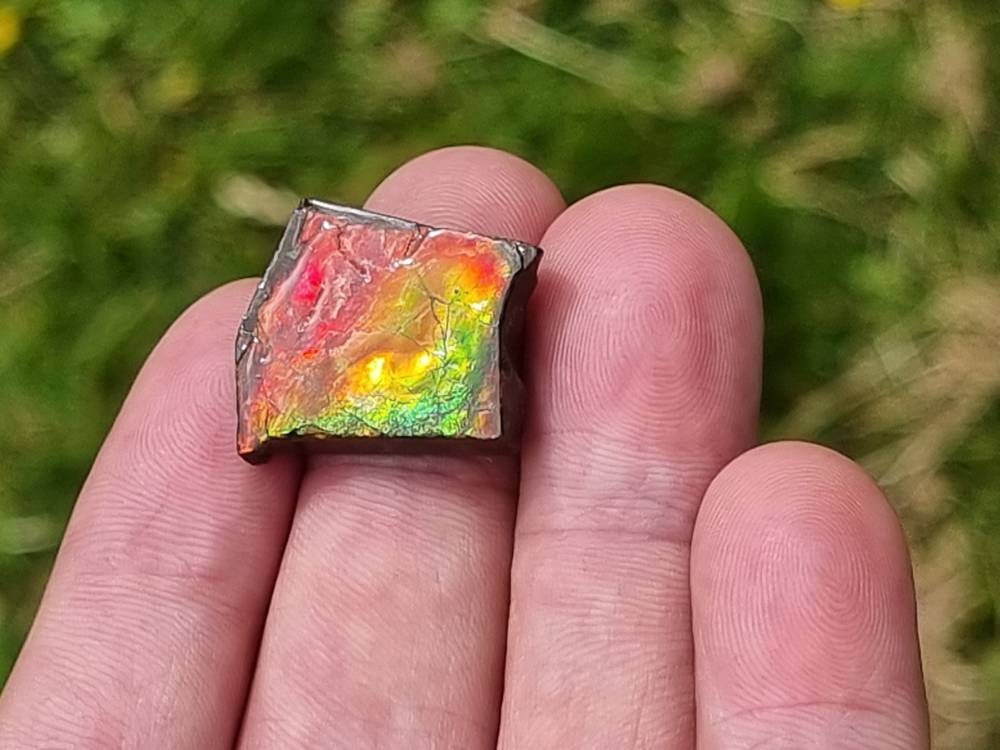 74) Ammolite Crystal Gemstone