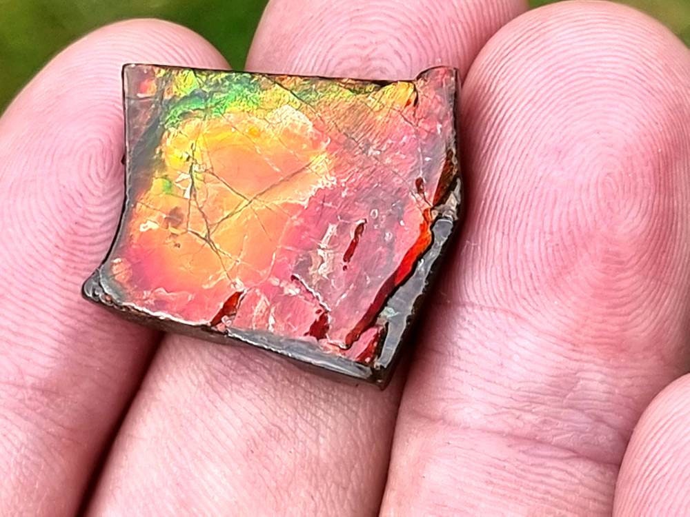 74) Ammolite Crystal Gemstone