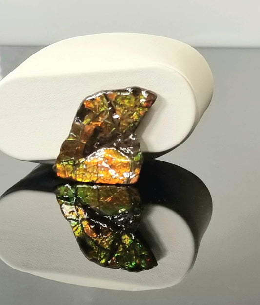 Large Ammolite Crystal Gemstone rare unique