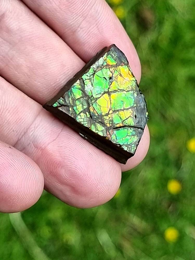 63) Ammolite Crystal Gemstone