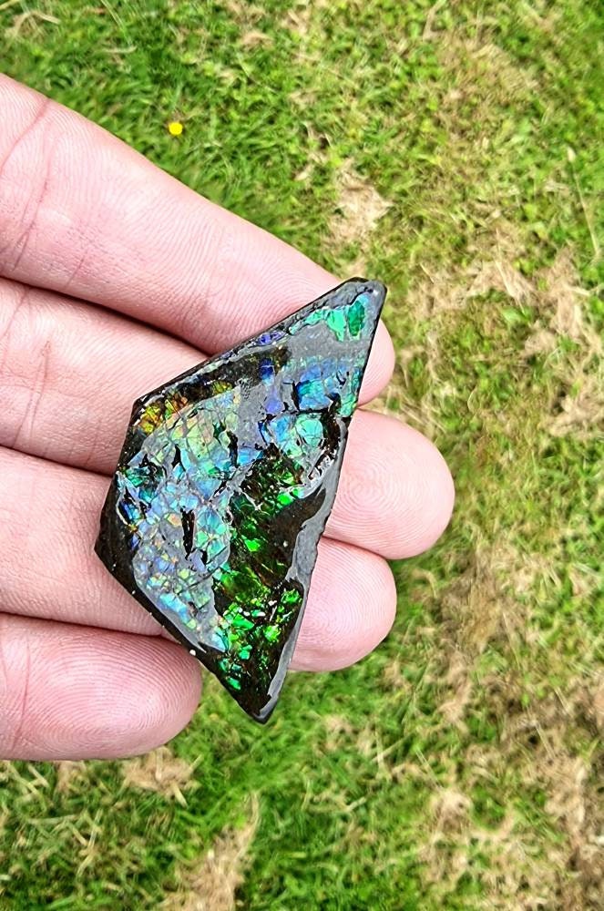 61) Ammolite Crystal Gemstone
