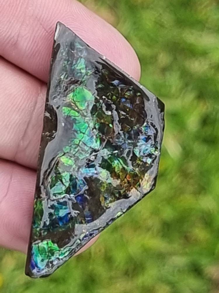 61) Ammolite Crystal Gemstone