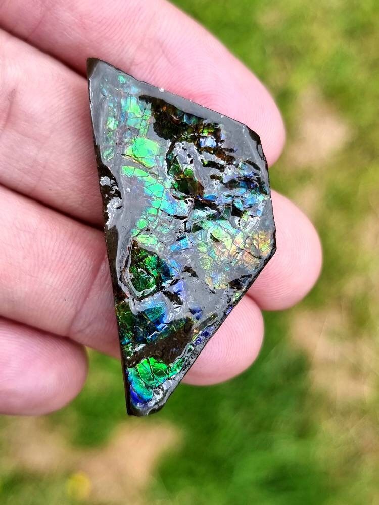61) Ammolite Crystal Gemstone