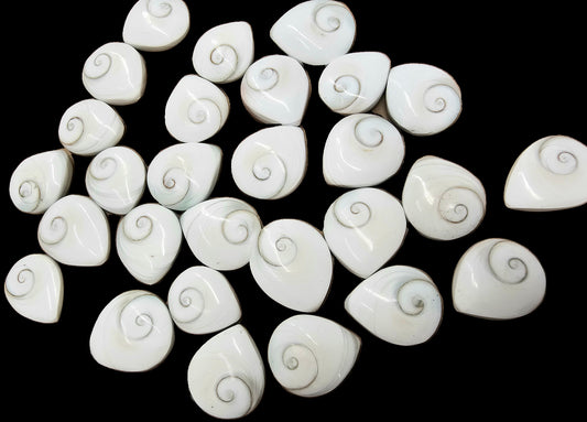 Shiva Shell Crystal Tear Drop x1