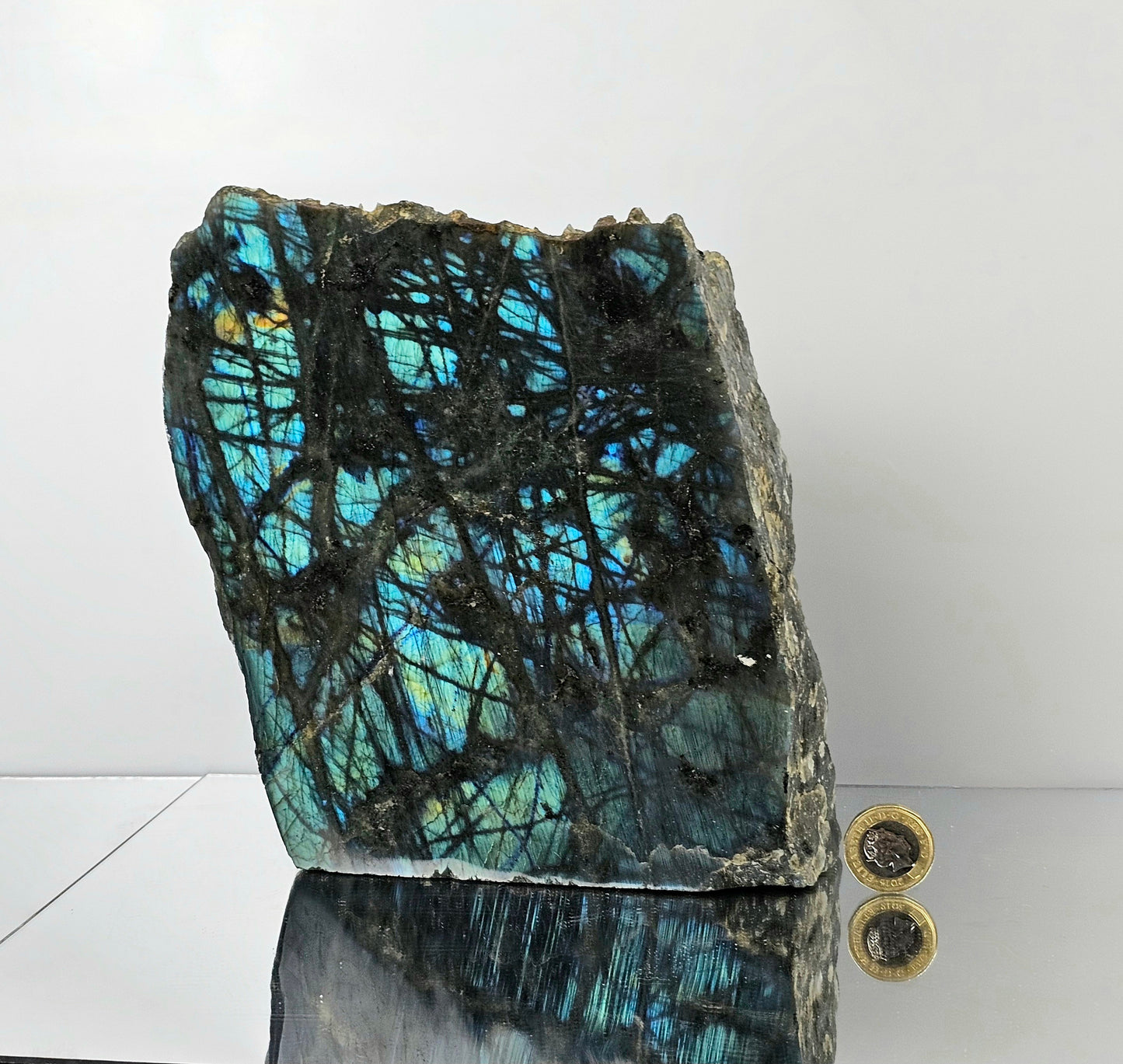 Large Labradorite Electric Blue Flash Crystal (#11)