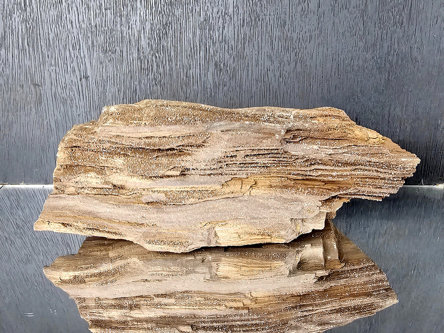 Large Fossil Wood Quartz Crystal Druze Rare Petrified Wood Germany