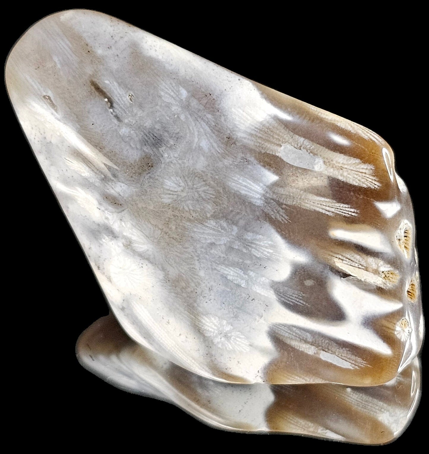 Rare Agate Coral Crystal Fossil - UK tumblestone  (#21)