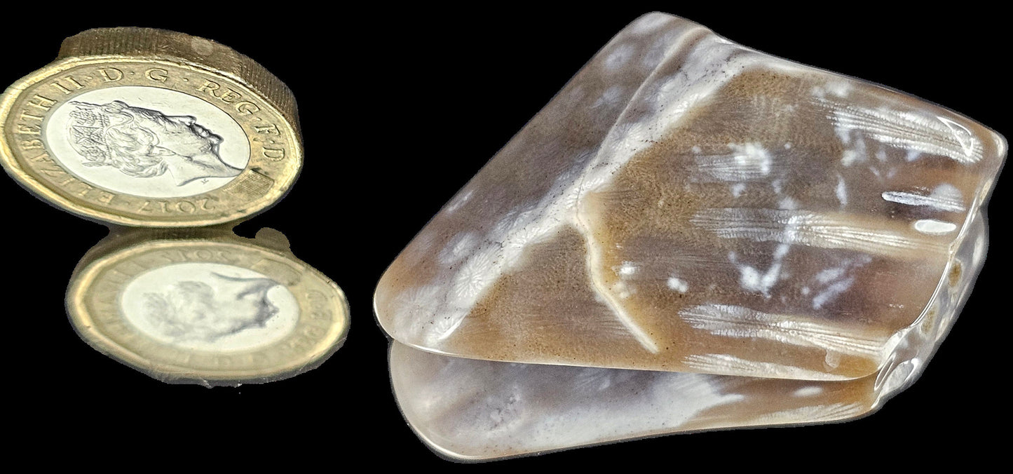 Rare Agate Coral Crystal Fossil - UK tumblestone  (#21)