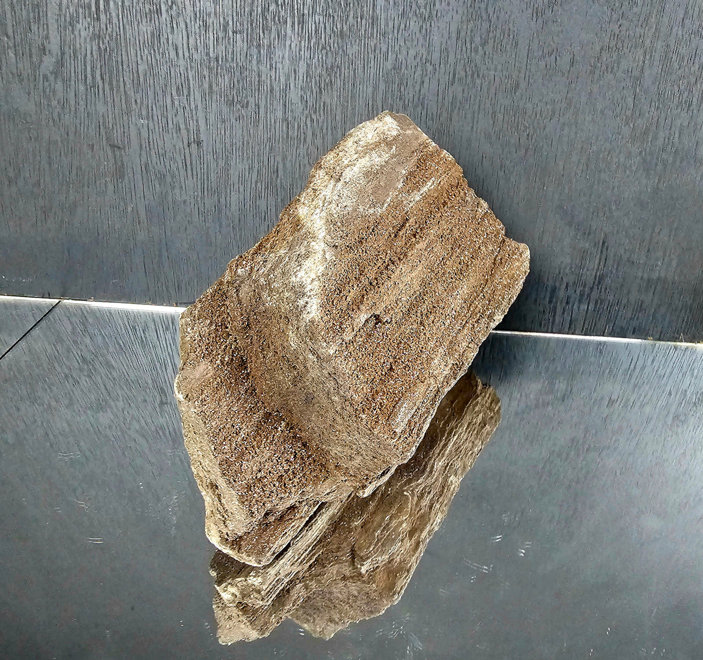 Fossil Wood Quartz Crystal Druze Rare Petrified Wood Germany (#20)