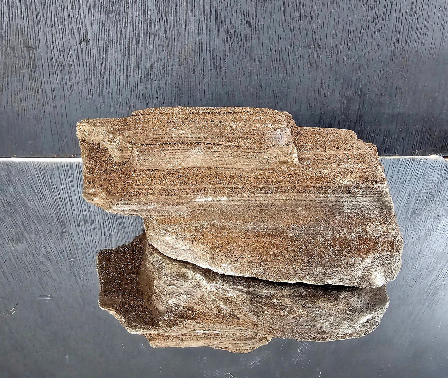 Fossil Wood Quartz Crystal Druze Rare Petrified Wood Germany (#20)