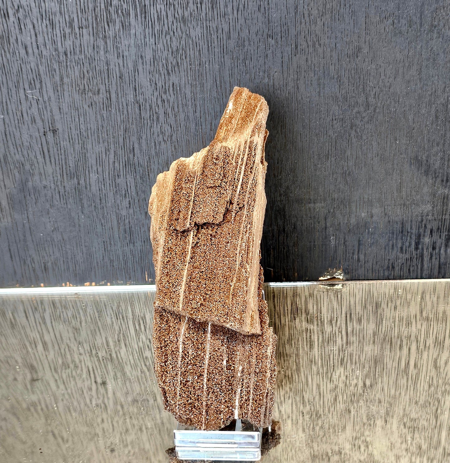 Petrified Wood With Quartz Druzy Outstanding quality covered in Quartz, druzy, would make for fantastic home or office decor a very unique display piece. From Zwenkau, Leipzig , Saxony Germany the site is no longer accessible and the pit has been flooded