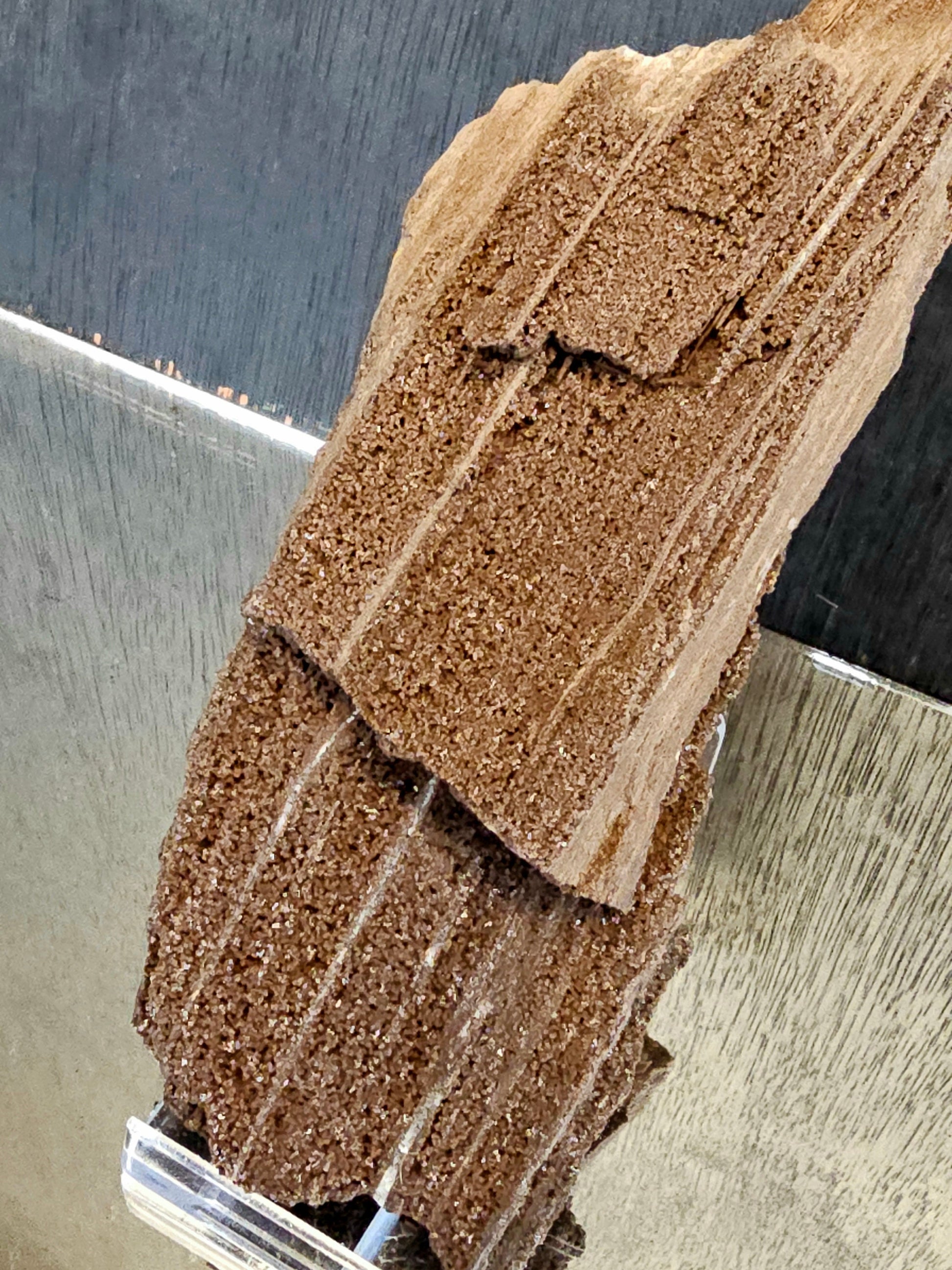 fossil wood quartz crystal druzy