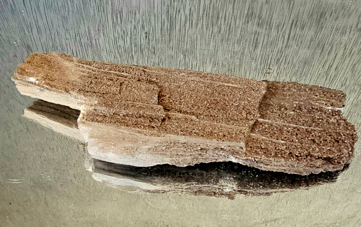 Fossil Wood Quartz Crystal Druze Rare Petrified Wood Germany (#10)