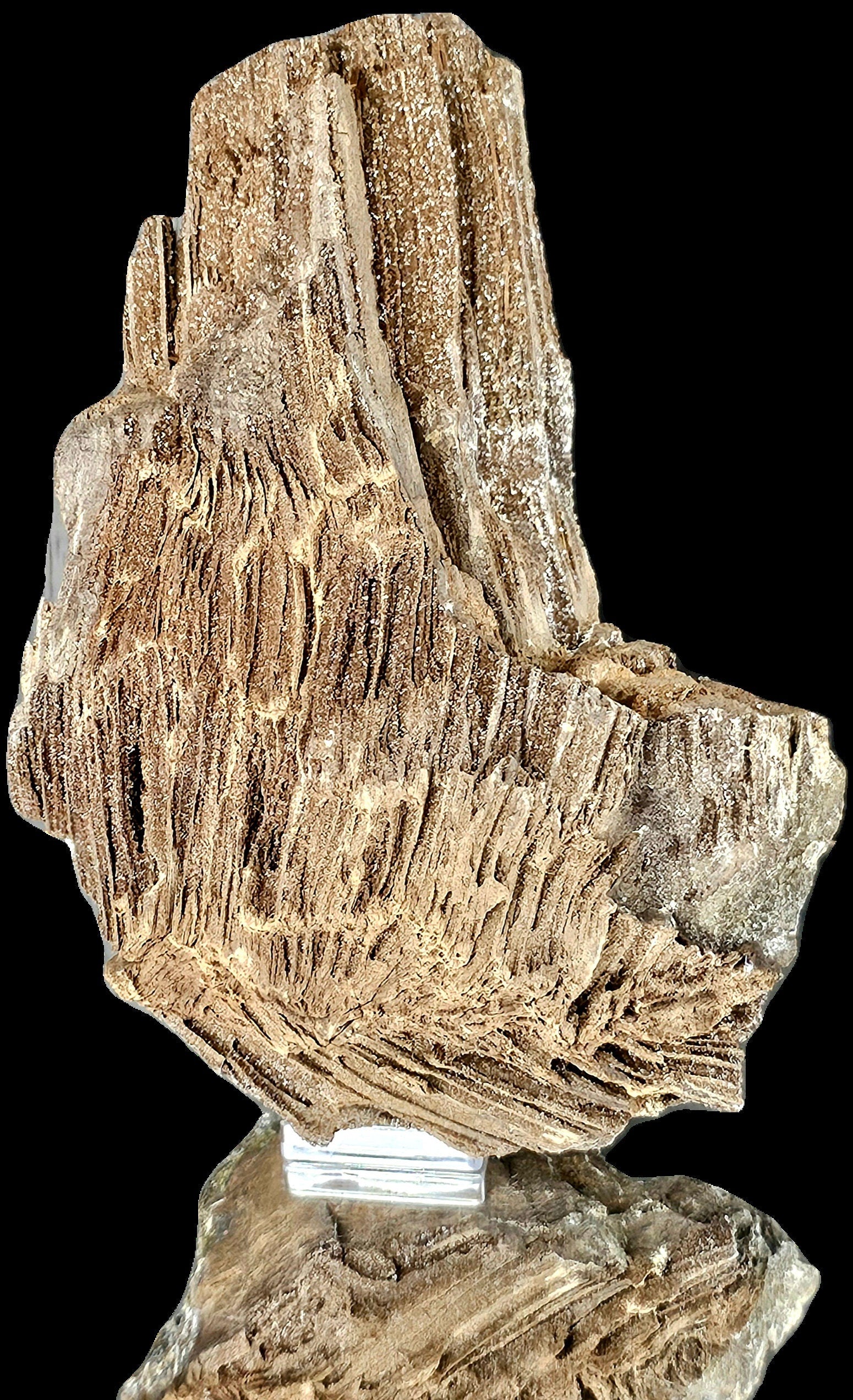 Petrified Wood With Quartz Druzy Outstanding quality covered in Quartz, druzy, would make for fantastic home or office decor a very unique display piece. From Zwenkau, Leipzig , Saxony Germany the site is no longer accessible and the pit has been flooded