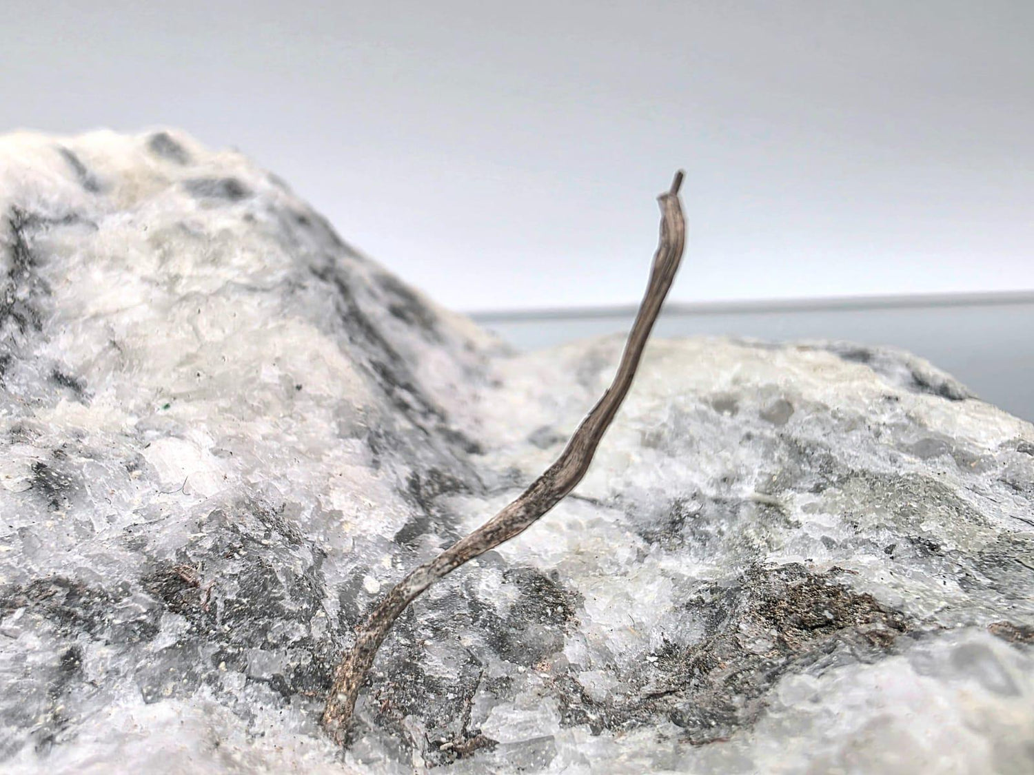 Raw native silver