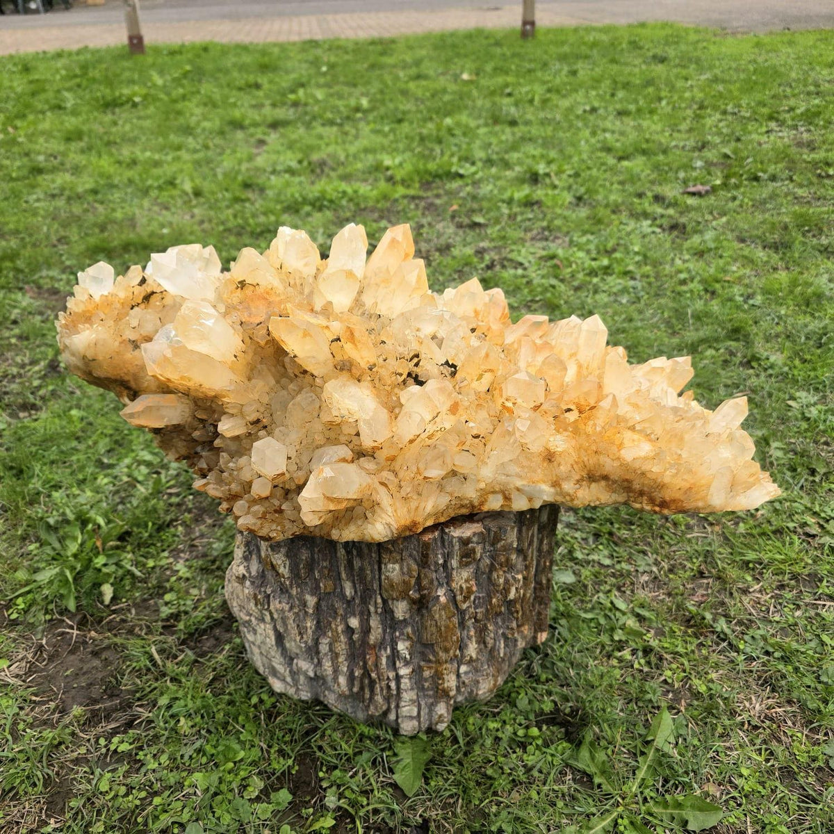 26.7kg natural Golden Healer Quartz specimen