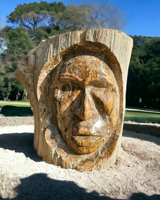 Giant Extra Large Man Of The Wood Petrified Fossil Wood Table Carving 400KG
