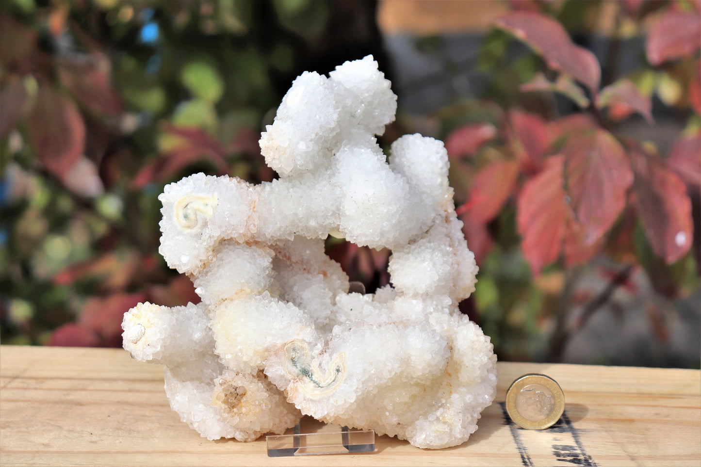 13) Large Quartz Stalactite Crystal