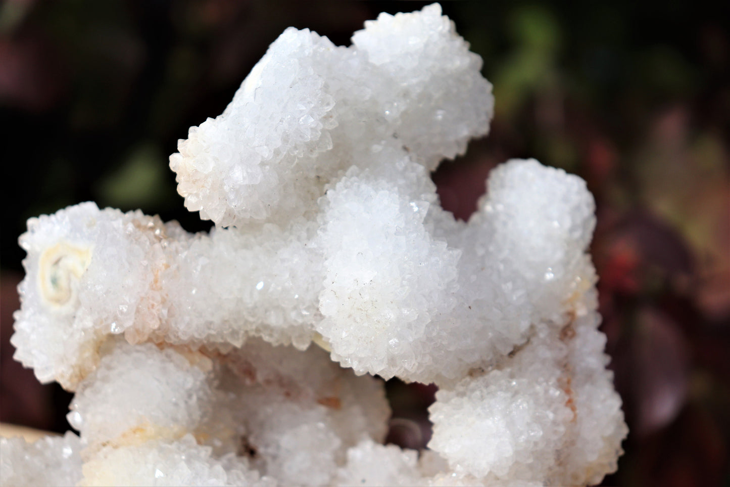 13) Large Quartz Stalactite Crystal
