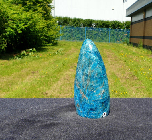 5) Apatite Crystal Freeform
