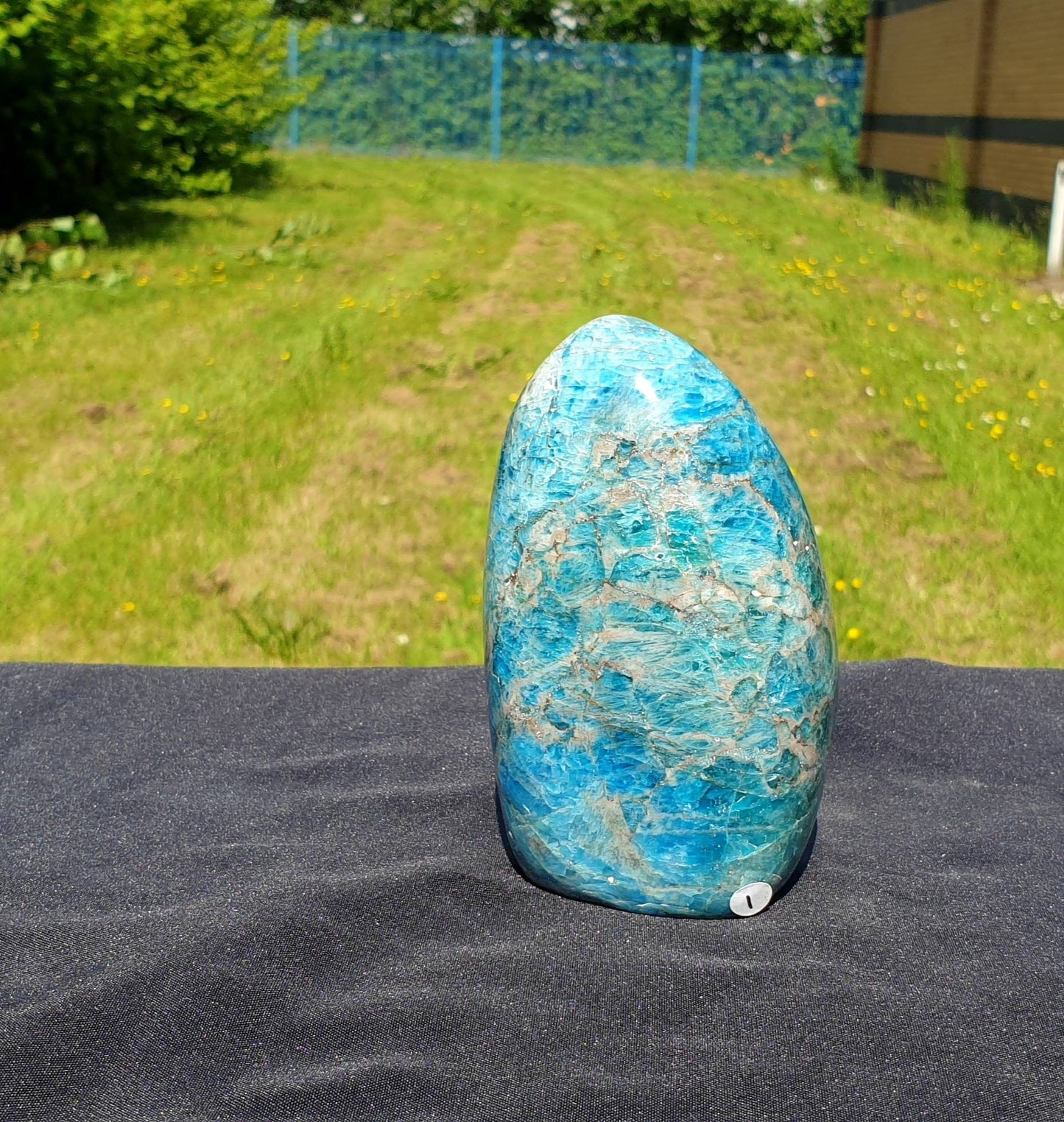 1) Apatite Crystal Freeform