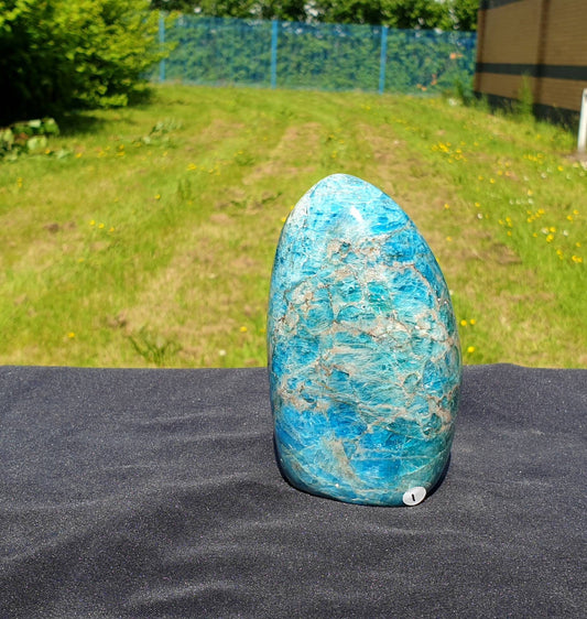 1) Apatite Crystal Freeform