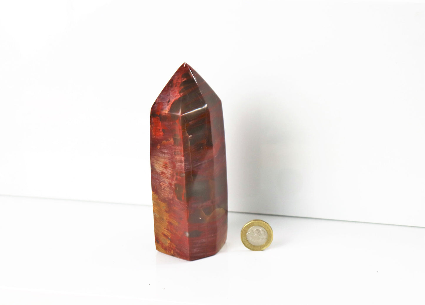 4) Fossil Wood Prism - Petrified Wood - Madagascar