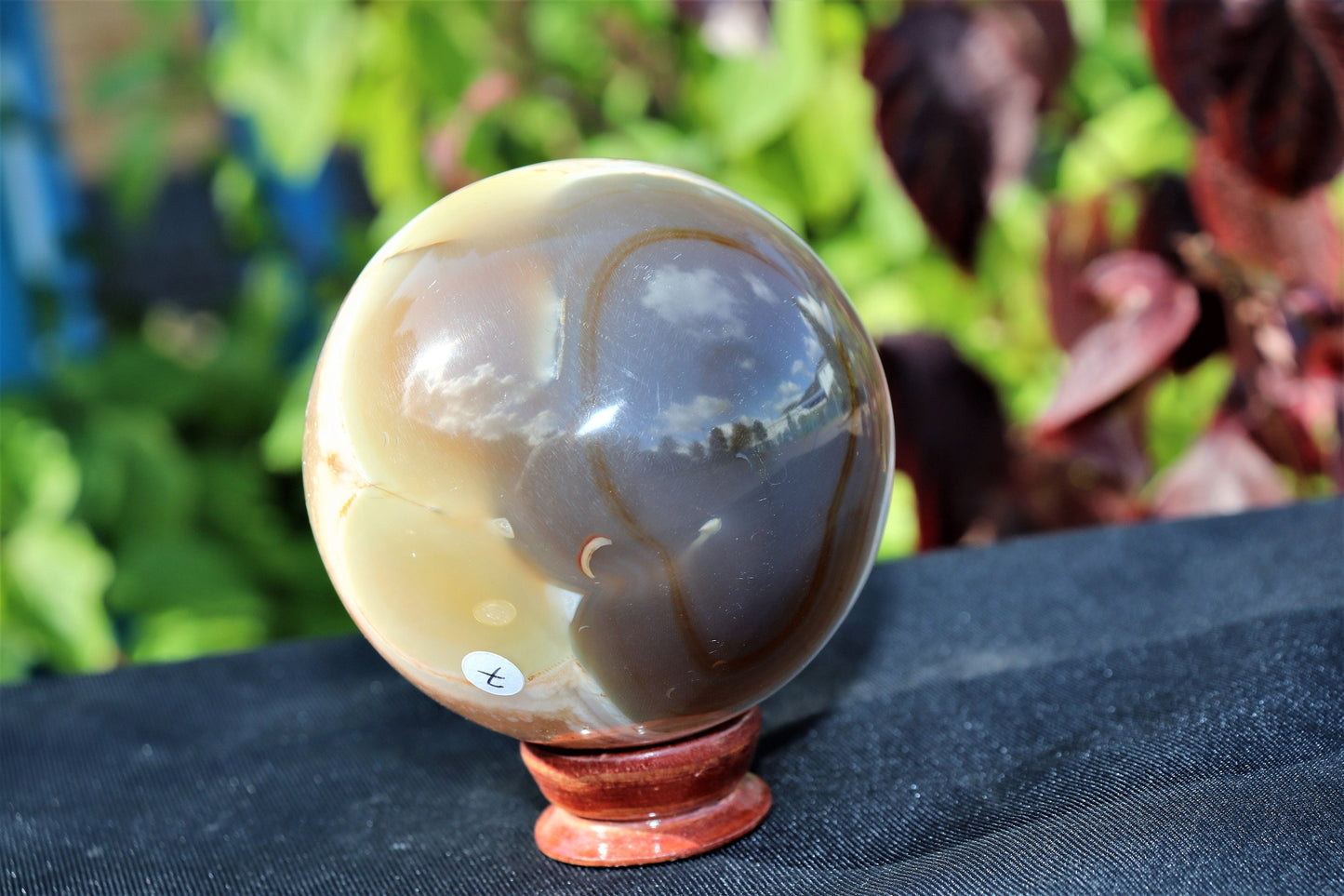 7) Brown Agate Quartz Crystal Sphere Ball Brazil Geode Great Gift 3"