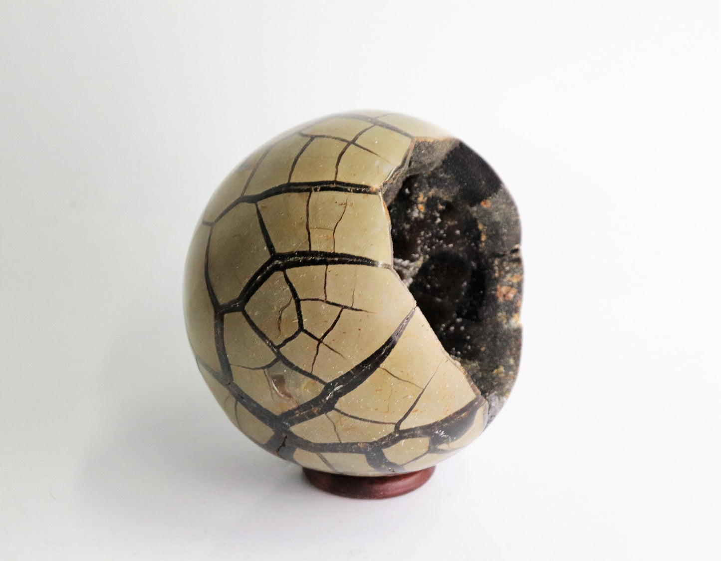 89) Large Black Septarian Crystal Sphere   5"